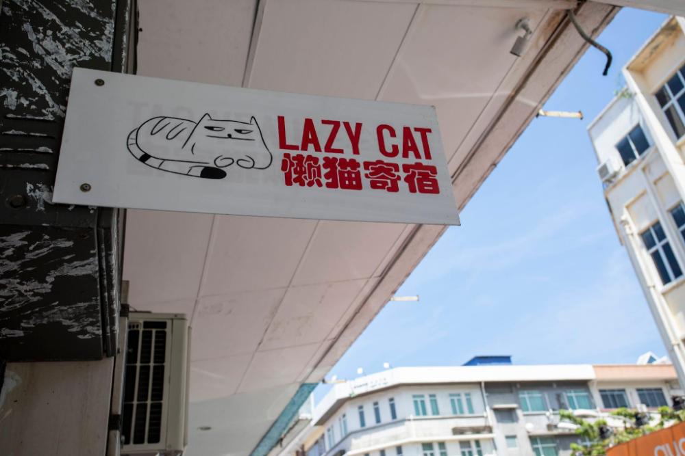 lazy cat home at gaya street