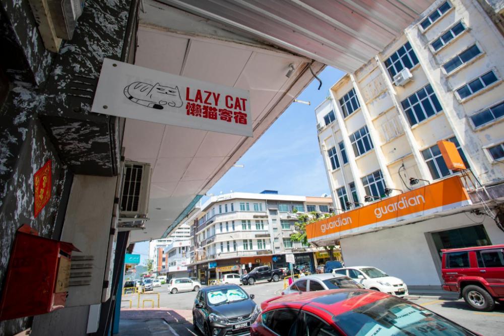 lazy cat home at gaya street