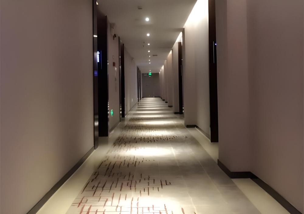 borrman hotel maoming avenue donghui city