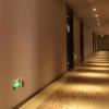 borrman hotel maoming avenue donghui city