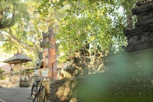 citadines berawa beach bali