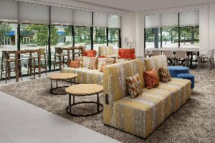 hilton garden inn orlando downtown