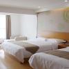 greentree inn jinan licheng district fenghuang roa