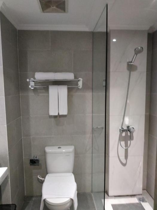 solia hotel yosodipuro solo