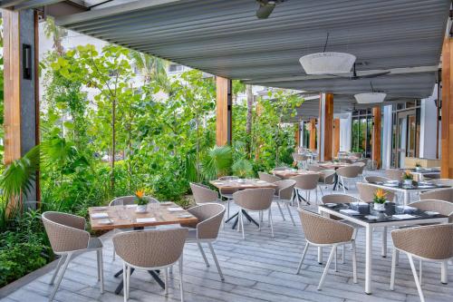 waldorf astoria riviera maya