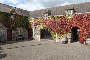 clenaghans