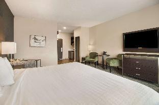 comfort inn and suites