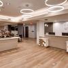 comfort inn and suites