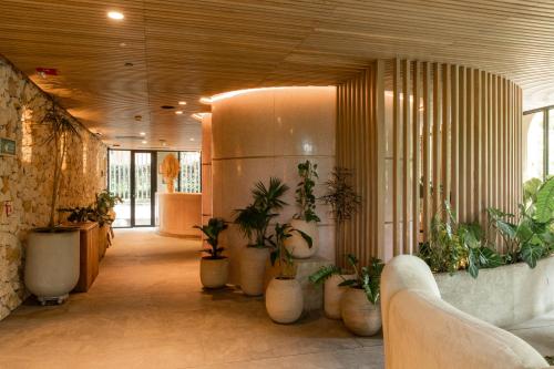 23 hotel