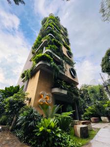 medellin
