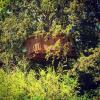 le domaine de wail legends resort