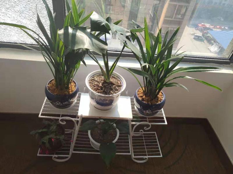 greentree inn wuxi huishan yangshan town