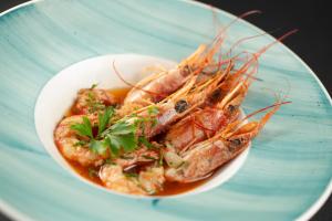 vivid blue serenity resort