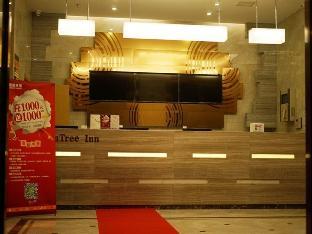 greentree inn hefei huaxia international chabochen