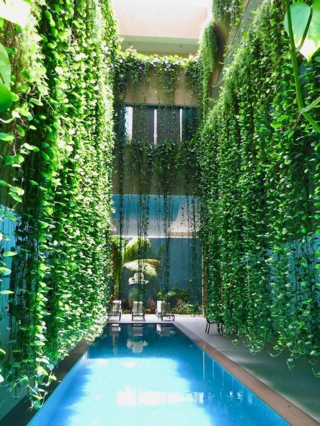 palmarena by nah hotels