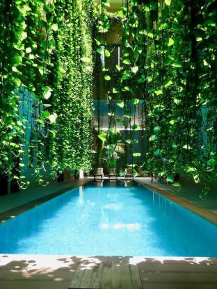 palmarena by nah hotels