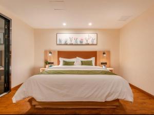 greentree inn hefei changjiang west road zhenxing