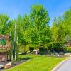 pigeon forge