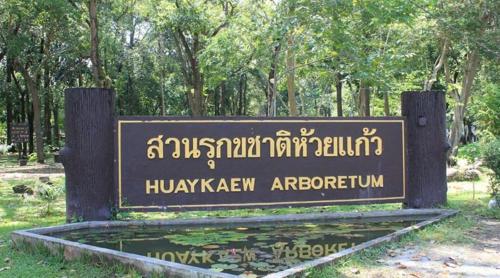 go inn chiang mai university cmu
