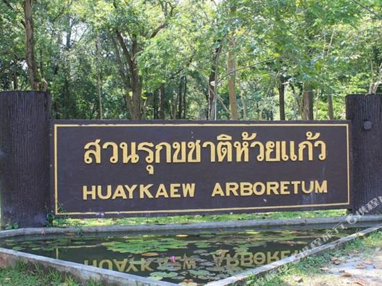 go inn chiang mai university cmu