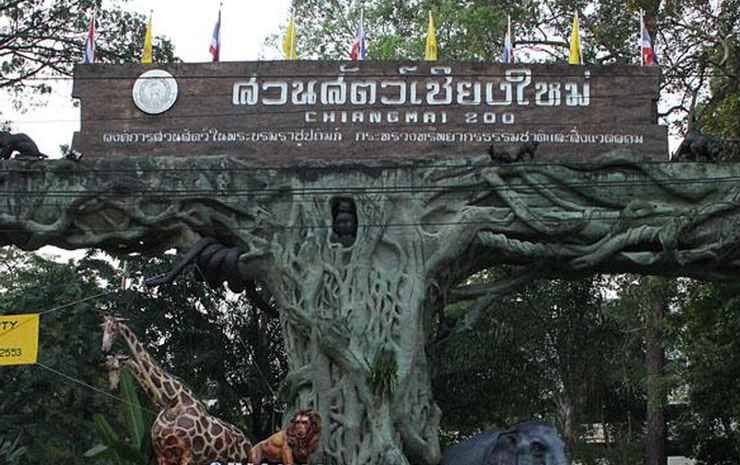 go inn chiang mai university cmu