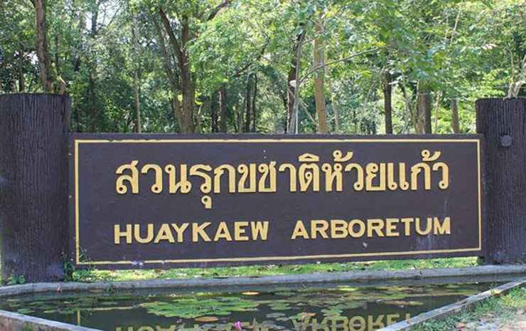 go inn chiang mai university cmu