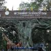 go inn chiang mai university cmu