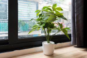 cozrum homes saphera residence