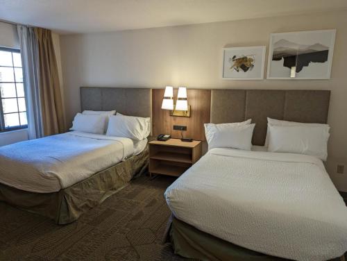 staybridge suites allentown bethlehem airport by ihg