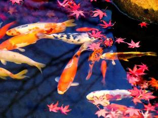 hotel symphony annex