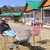 Snowdrop Eco Resort,Shimla>>Chail,3 star