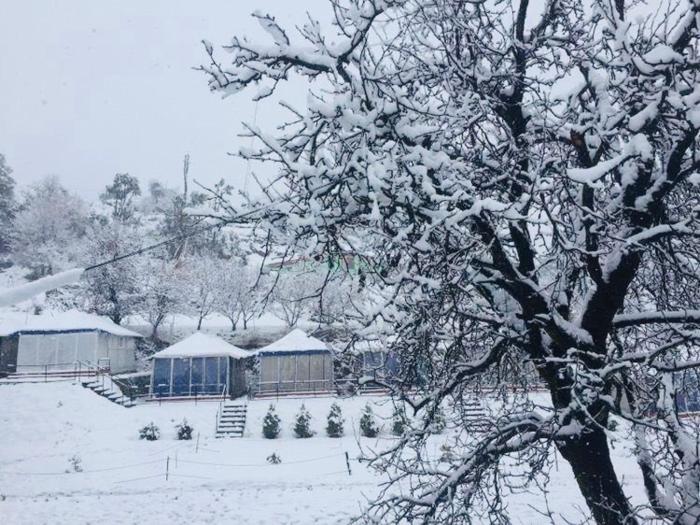 snowdrop eco resort
