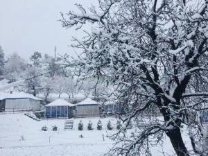 snowdrop eco resort