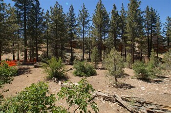 cardinal ridge by big bear cool cabins