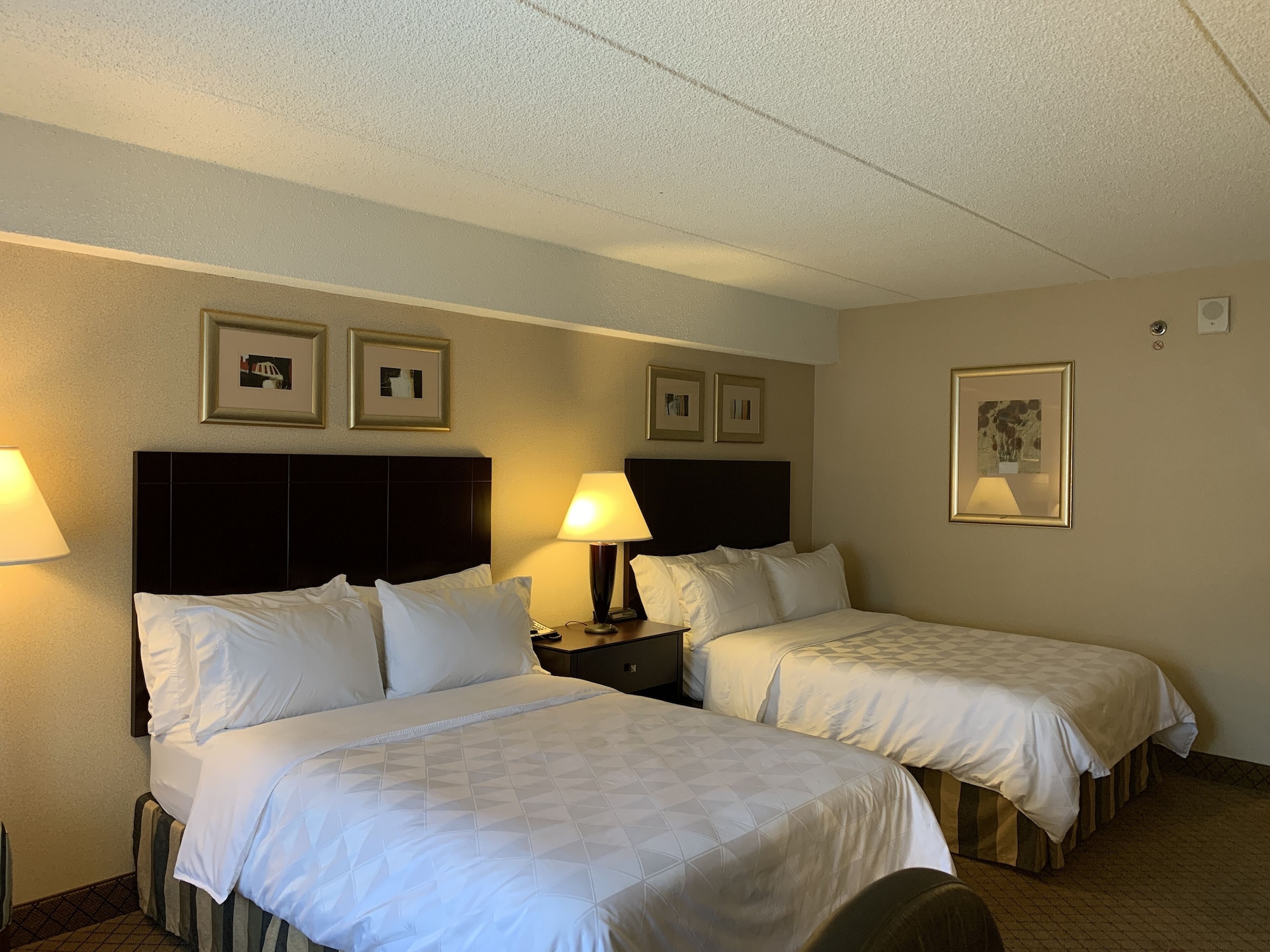 holiday inn johnstown downtown by ihg