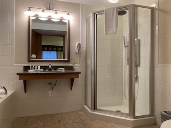 Holiday Inn Johnstown Downtown By Ihg,Pennsylvania>>Johnstown,3 star