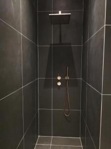 lf suites