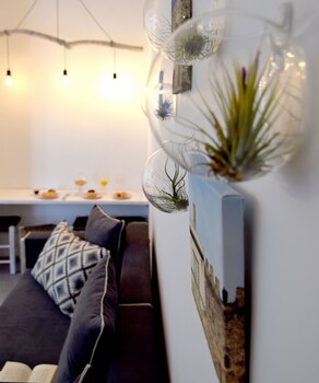 grey studios