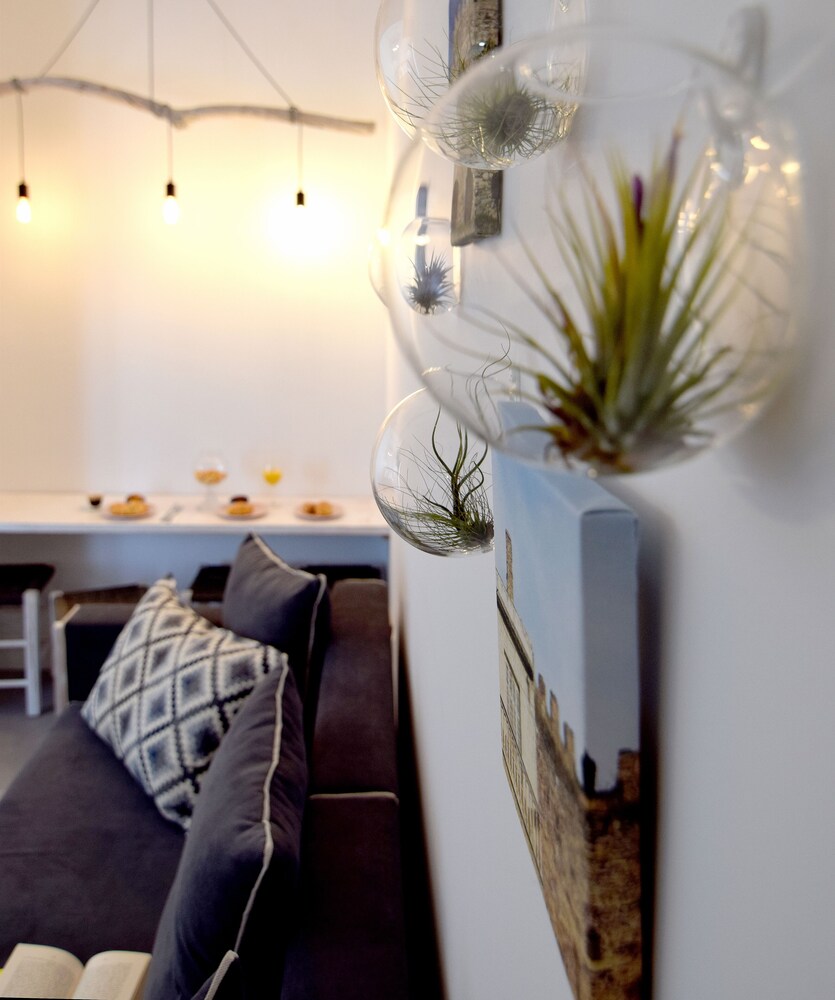 grey studios