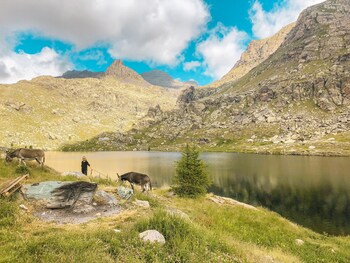 le relais des merveilles hostel