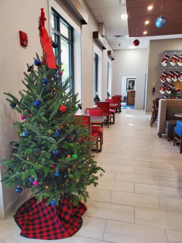 holiday inn express st augustine vilano beach