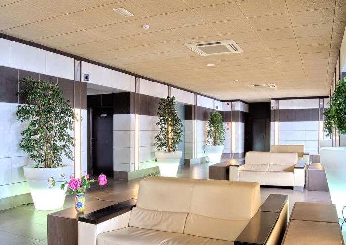 hotel papi blau