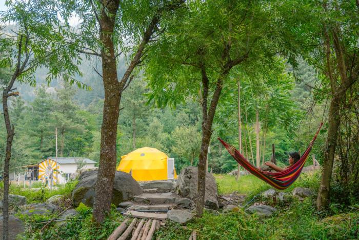 whoopers boutique resort jibhi