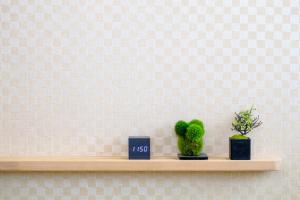 mt fuji akatsuki kuu