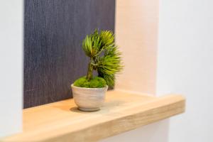 mt fuji akatsuki kuu