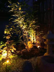 mt fuji akatsuki kuu