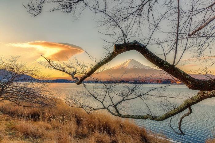 tocoro mt fuji uzuki