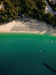 canale hotel and suites