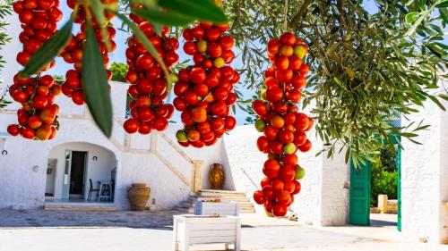 masseria ayroldi