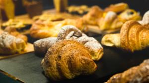 apollo boutique hotel